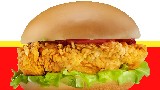 Chicken Molt